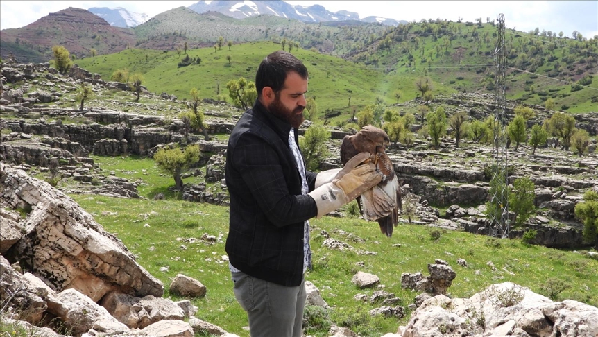 Li Şirnexê 2 bazên sor ên tedawiya wan temam bû berdan çolê