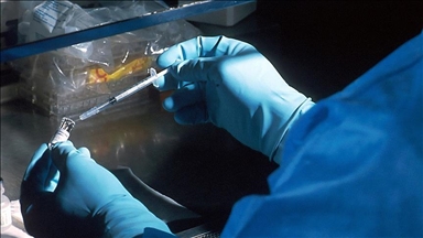 Во Нигерија годишно 22.000 деца се инфицираат со ХИВ