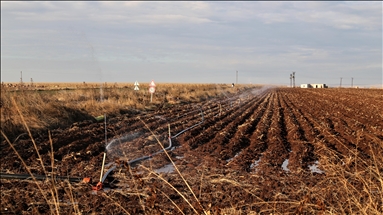 Cotkarên li Rihayê ji ber hişkayiyê bifikarin