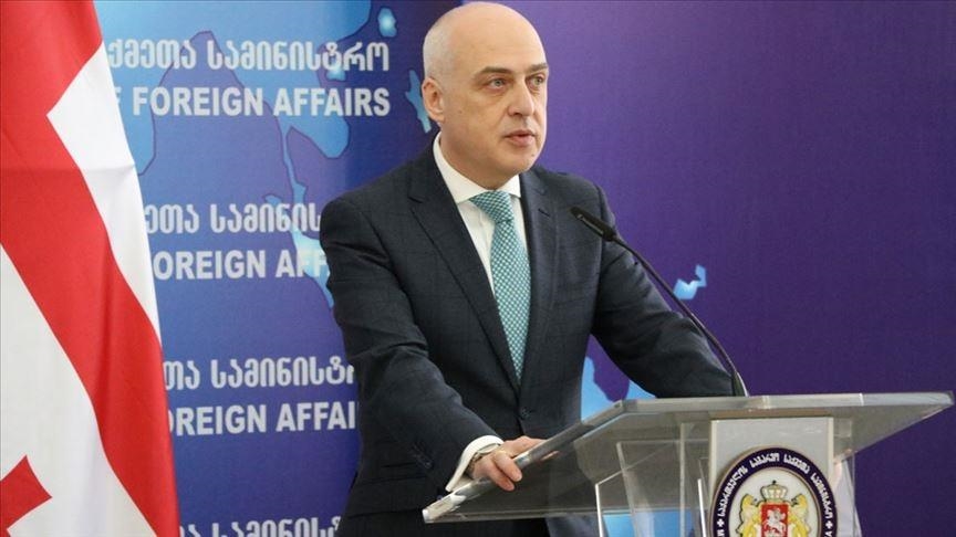 Georgian foreign minister highlights Turkish support for Georgia