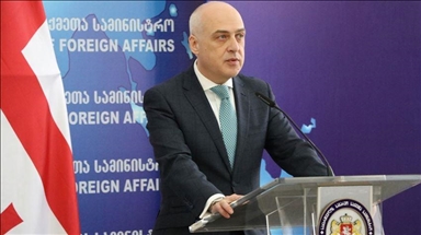 وزير خارجية جورجيا: تركيا تدعم وحدة أراضي وسيادة أراضينا