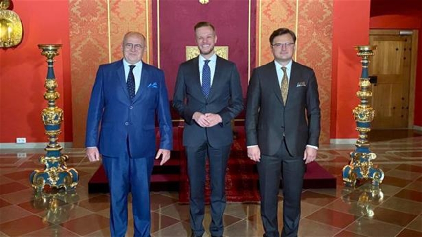 Литва и Польша поддерживают европейскую перспективу Украины