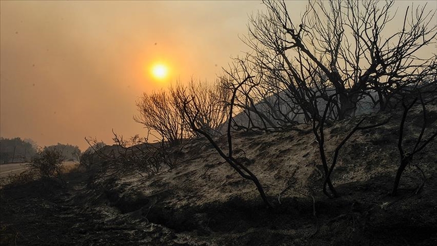 استمرار الحرائق غرب الولايات المتحدة وتسجيل 8 مفقودين