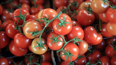 Turquie: la valeur des exportations des fruits et des légumes s'élève à plus de 3 milliards de dollars