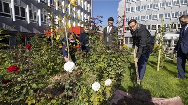 Anadolu Agency plants saplings in show of support for Turkey's afforestation day