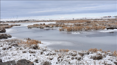 Li Qersê Gola Çaliyê qeşa girt