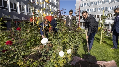 Агентство «Анадолу» поддержало Национальную кампанию по посадке деревьев в Турции