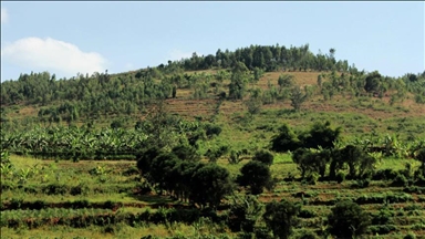 Resettled farmers thriving in Zimbabwe