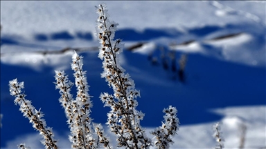 Erzurum, Kars ve Tunceli'de kar yağışı etkili oluyor