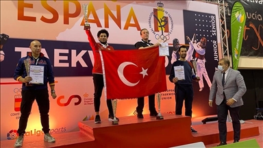Турецкие тхэквондисты завоевали 14 медалей на турнире в Испании