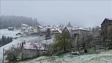 На северо-востоке Турции в мае выпал снег