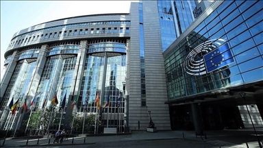 ЕП поддержал идею предоставления Молдове статуса кандидата в ЕС