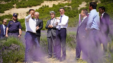 На западе Турции стартует фестиваль лаванды