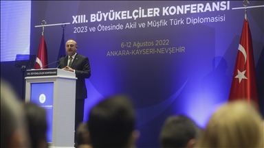 Türkiye's 'entrepreneurial, humanitarian' foreign policy benefits world, says foreign minister