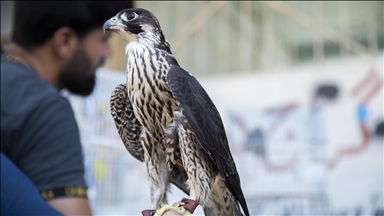 هەولێر.. بازاڕی پەلەوەر لە رۆژانی هەینییدا