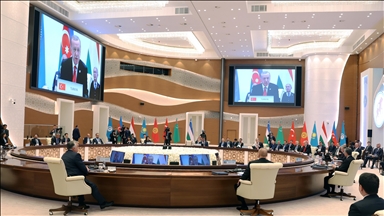 "شمال قبرص" تنال صفة مراقب في منظمة الدول التركية 