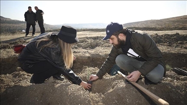 Xebatkarên Ajansa Anadoluyê 320 şax çikandin