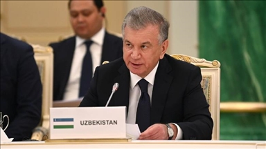 Мирзиёев призвал скоординировать усилия тюркских государств для решения проблем