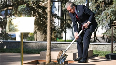 Лидеры ОТГ посадили саженцы деревьев в Самарканде