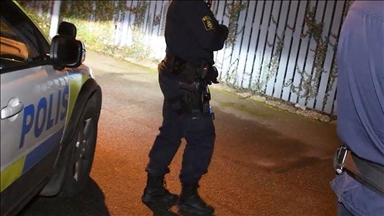 Sweden must step up efforts to fight systemic racism, urge UN experts