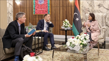 مباحثات ألمانية مكثفة في طرابلس لحلحلة الأزمة الليبية