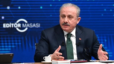 Шентоп: Турция не поддержит заявку Швеции в НАТО без учета обеспокоенности Анкары