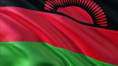 Malawi suspends anti-corruption chief probing bribery case involving top officials