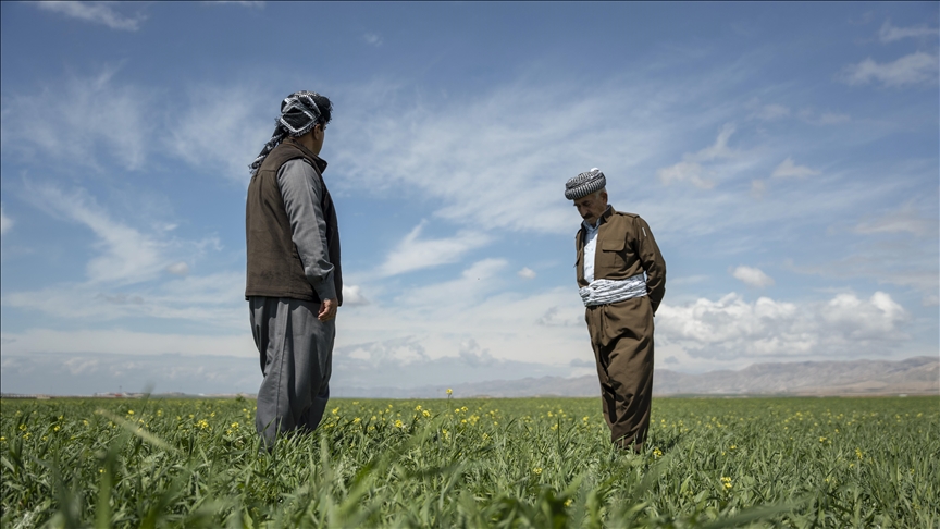 بارانبارین مەترسی وشکەساڵیی لە دهۆک رواندووەتەوە