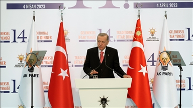 أردوغان: هناك حاجة ملحة لإصلاح مجلس الأمن