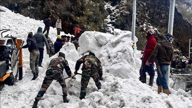 7 dead as massive avalanche hits tourist vehicles in northeast India