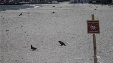 Германија ја повика Русија да престане да поставува мини во Украина