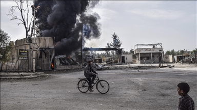 3,353 civilians killed by landmine explosions in Syria since 2011: NGO