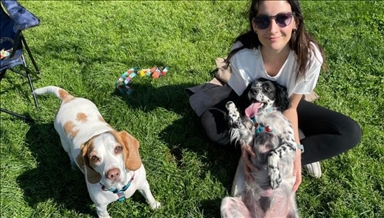 Lack of neutering procedures number 1 problem for stray animals in Türkiye