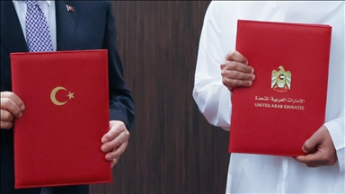 UAE, Türkiye to work closely on promoting economic development: UAE official