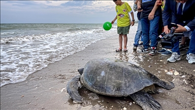 إطلاق سلحفاتين في البحر بعد معالجتهما بمرسين التركية