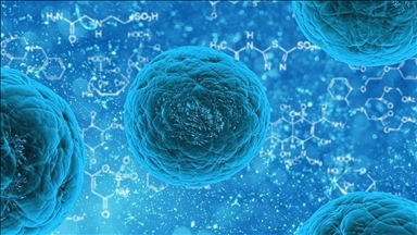 Türkiye rising star of Europe with stem cell transplants, says expert