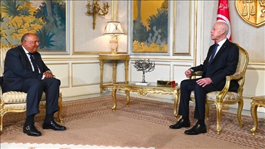 تونس.. شكري ينقل رسالة "دعم" من السيسي إلى سعيد 