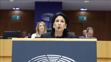 Russia still ‘occupies 20% of our territory': Georgian president