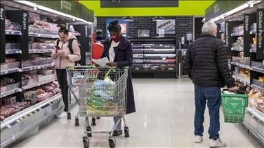 US consumer credit increases by over $17B in June: Fed