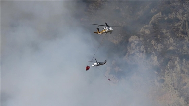 Muğla'da çıkan orman yangını kontrol altına alındı