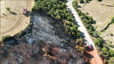 Manisa'da makilik alanda çıkan yangın kontrol altına alındı
