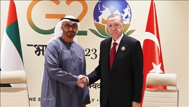 Эрдоган провел переговоры с президентом ОАЭ аль-Нахайяном в Нью-Дели