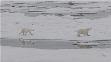 Better monitoring critical as melting glaciers threaten lives, experts warn