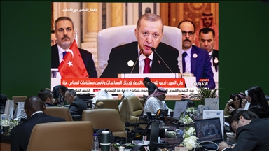 ‘Israeli nuclear weapons should be investigated,’ says Turkish President Erdogan