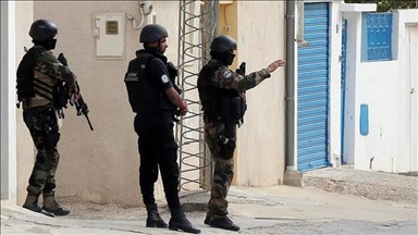 5 Swedish nationals arrested in Tunisia on suspicion of joining terror group, espionage