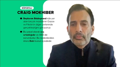 BM'nin Filistin'le ilgili yetersizliğine tepki gösterip 32 yıllık kariyerini bırakan Mokhiber, AA'ya konuştu