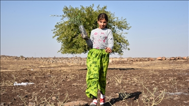 THY'den Şanlıurfa'ya 90 bin meyve fidanı