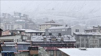 Hakkari'de kar ve sis ulaşımı aksatıyor