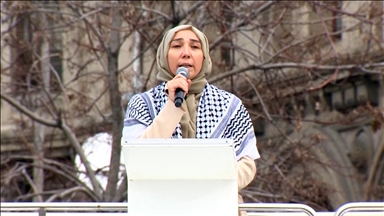 أكاديمية تركية: المتطاولون على غزة يخططون لما هو أكبر على صعيد المنطقة