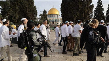 Over 48,000 Israeli settlers stormed Al-Aqsa Mosque in 2023